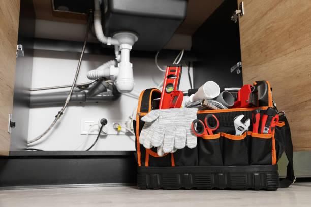 Best Septic Systems  in Dudley, NC